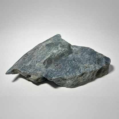 Plate - Kotaro #004