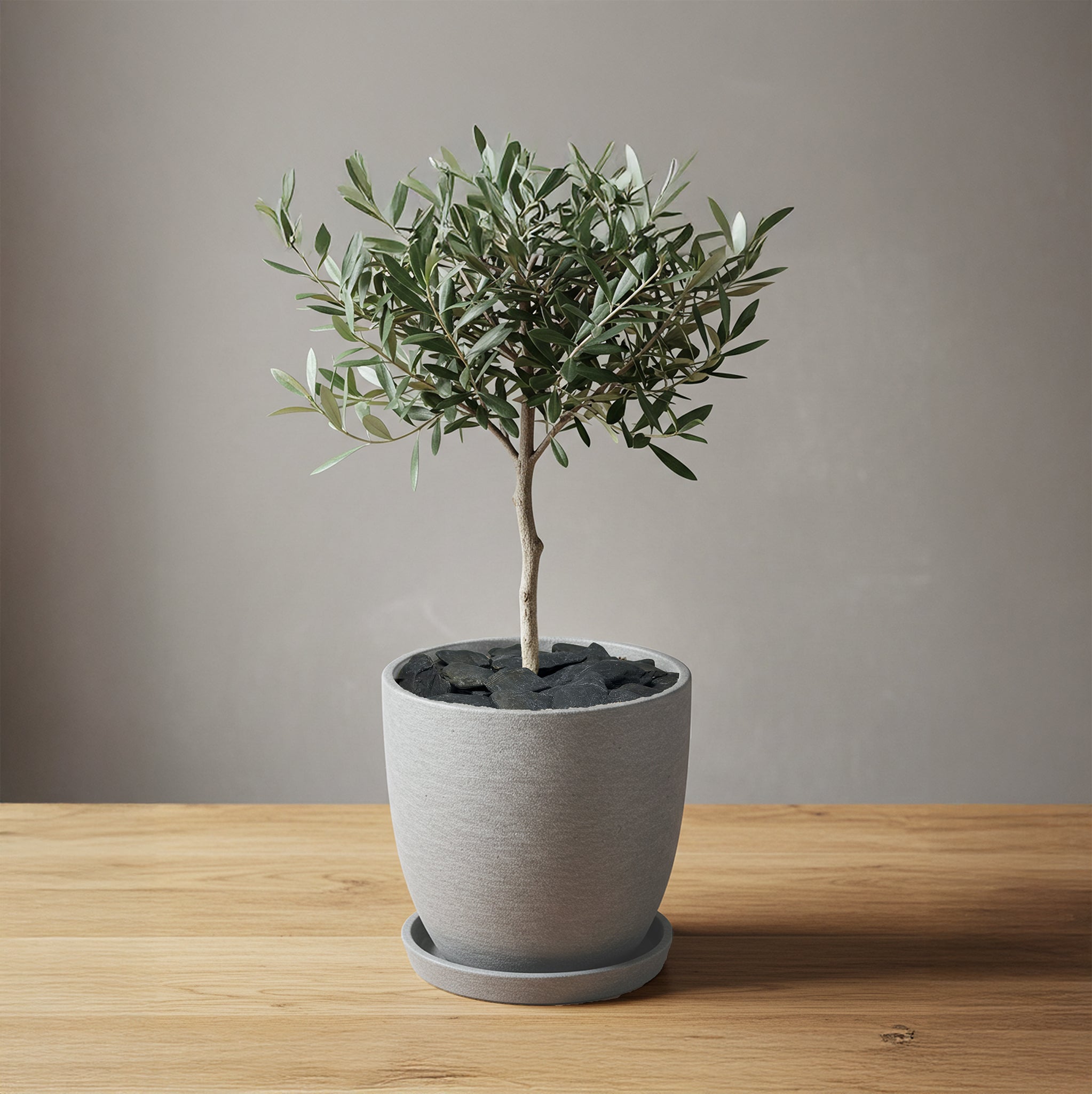 那智黒石 盆栽 ミニチュア 造形美 水石 盆石 鑑賞石 独立峰 画像20枚 那智黒石 盆栽 ミニチュア 造形美 水石 鑑賞石 独立峰 画像20枚 那智黒石