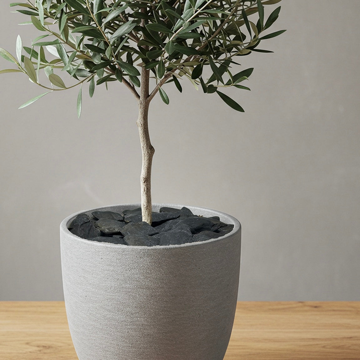 Plant Stone】Kurogane｜三重県産｜那智黒石｜5号鉢用 – ReSTONE